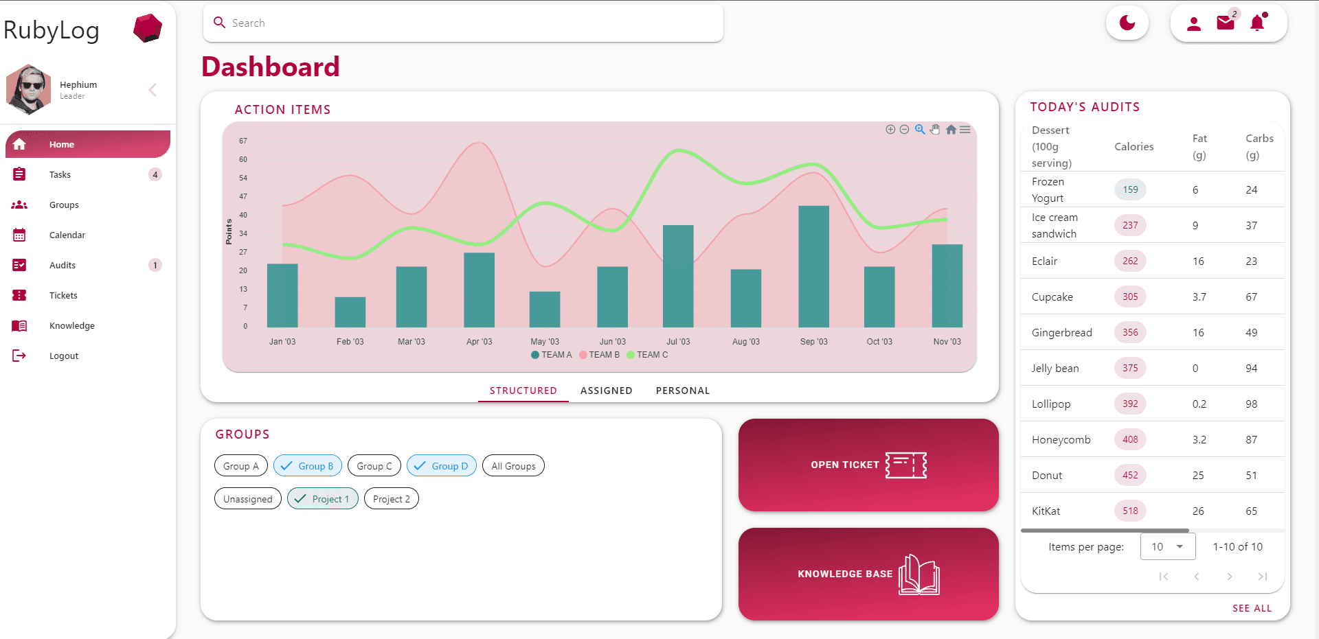 RubyLog - Dashboard Light Mode